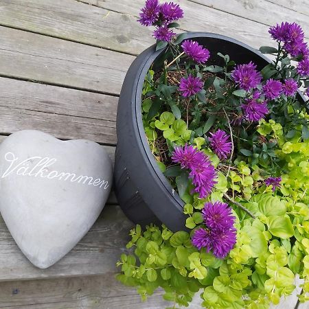 Hallestrand Cottage Krabban Strömstad Zewnętrze zdjęcie